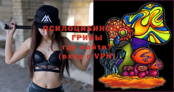 mdpv Никольск