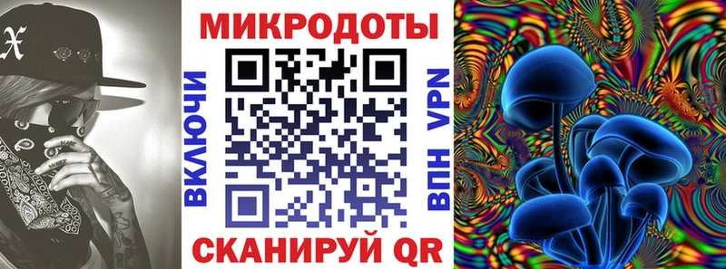 закладки Россошь Псилоцибиновые грибы мухоморы