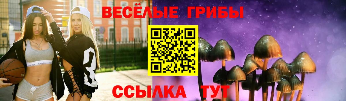 Галлюциногенные грибы мицелий  Вход с VPN  Россошь 